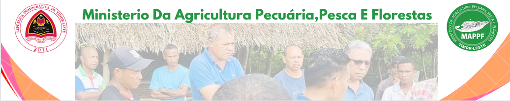 Ministeriu Agrikultura Pecuaria,Peskas no Floresta(MAPPF)